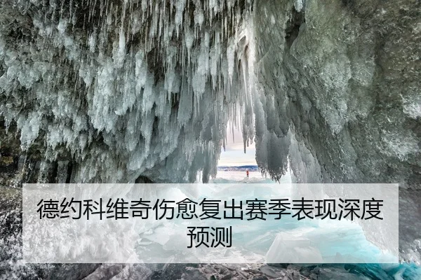 德约科维奇伤愈复出赛季表现深度预测